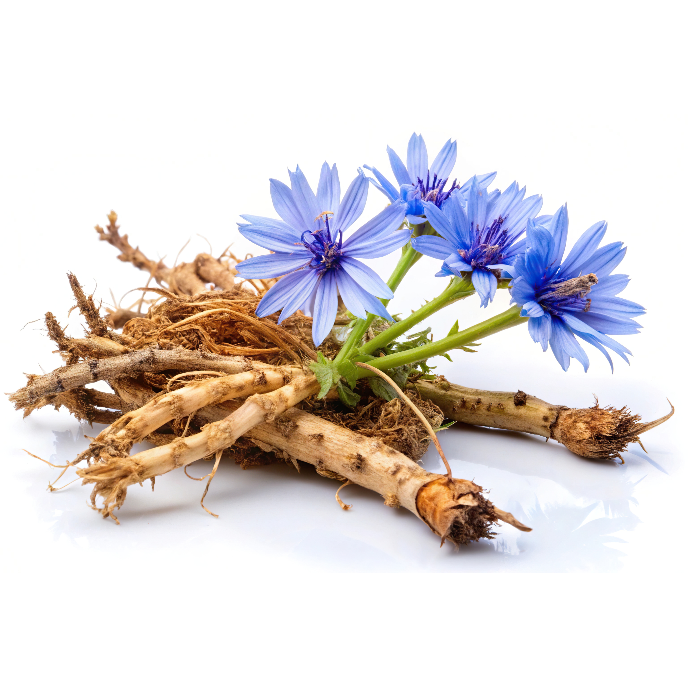 Inulin fiber supplement