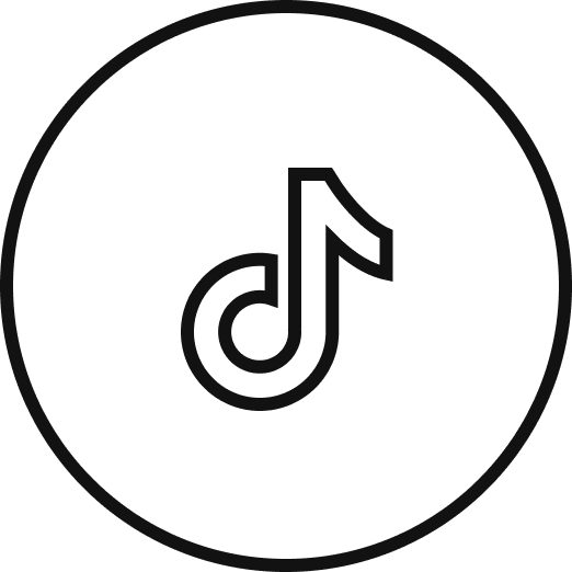 tiktok icon